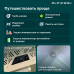 Автохолодильник Alpicool CX50 (12/24)